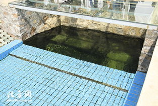 天津?qū)氎鎱^(qū)第一污水處理廠 MBR膜工藝驅(qū)動提標(biāo)擴(kuò)建，構(gòu)筑土壤污染治理新防線